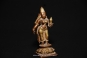 Gangajumna Lakshmi (Piece IBH347, Image 4848)