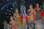 Pichhvai Krishna Rasa Lila (Piece IBH313, Image 4391)