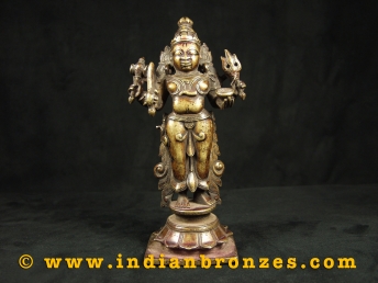 Bhairavara (Shiva) (Piece IBS275, Image 4870)